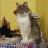 Отзыв от Эмма Артамонова